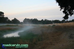 Friday Photo - The Fog (I) Friday Photo - The Fog (I)